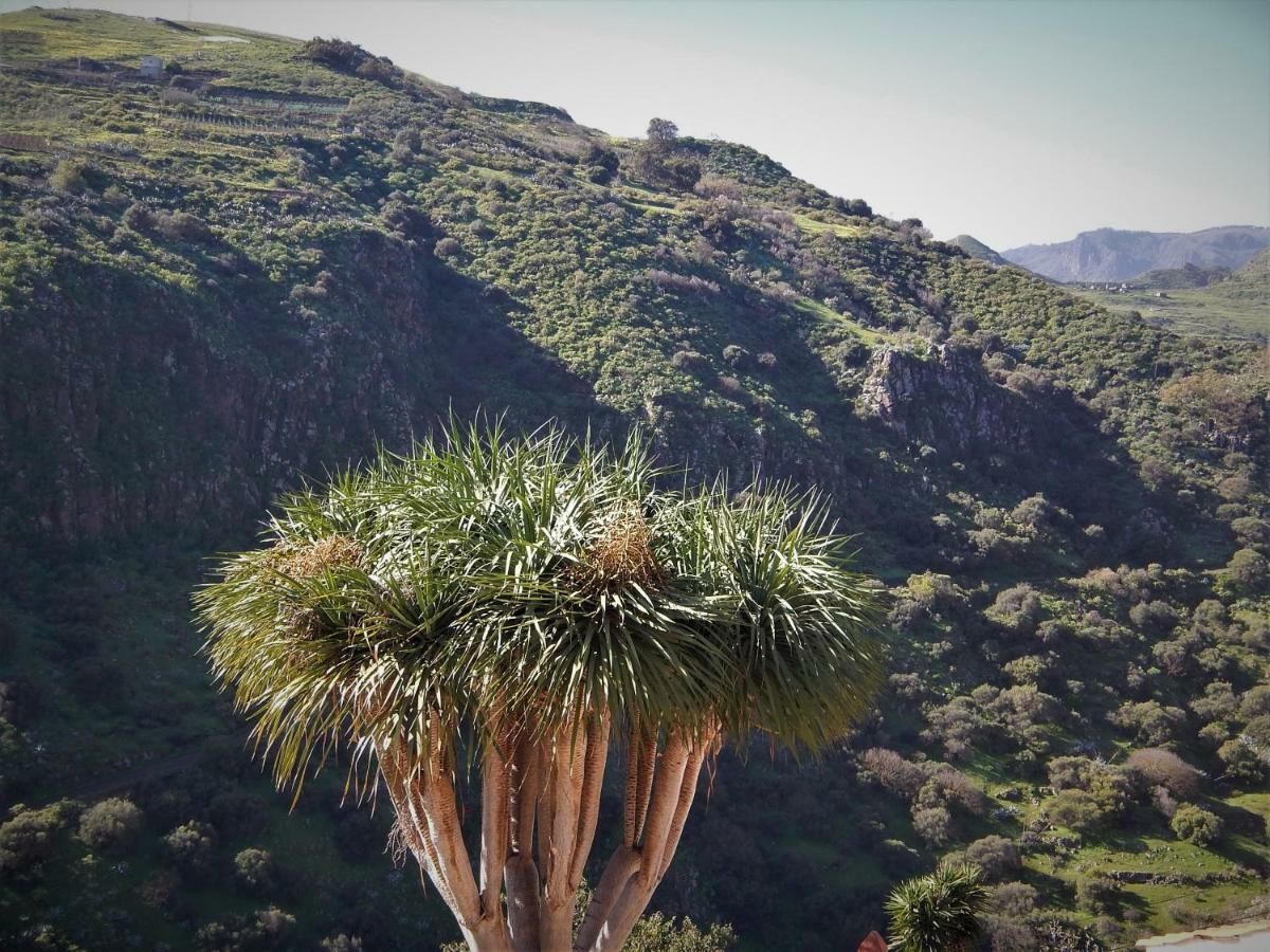 Vivelorural Casa La Cuevita, Santa Brigida المظهر الخارجي الصورة
